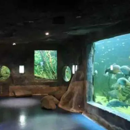 3 Etoiles - Piscine - Eebbii Chalet *